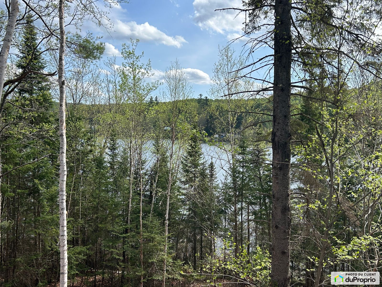 75 Chemin Du Lac Newcombe — photo 1