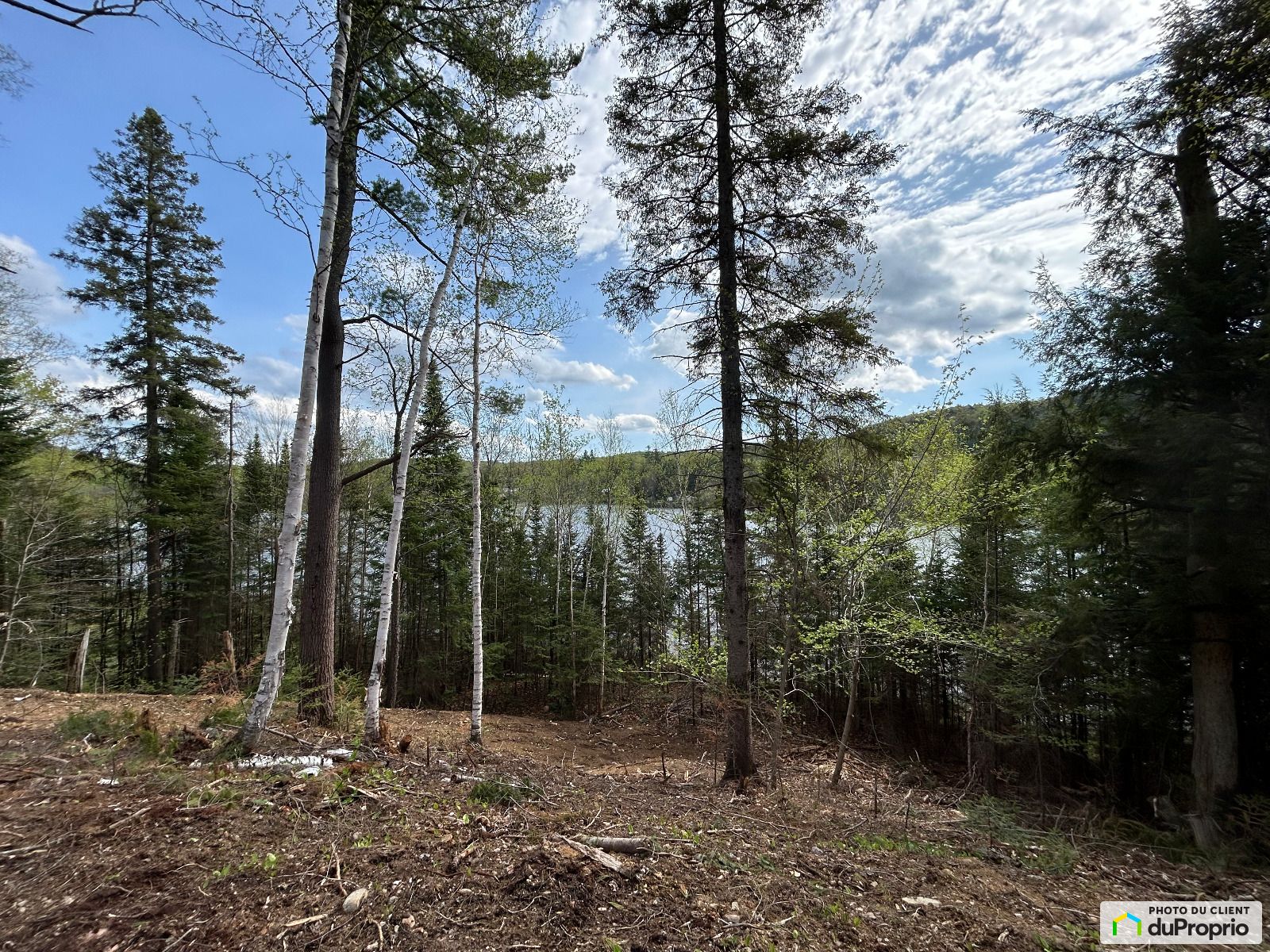 75 Chemin Du Lac Newcombe — photo 2