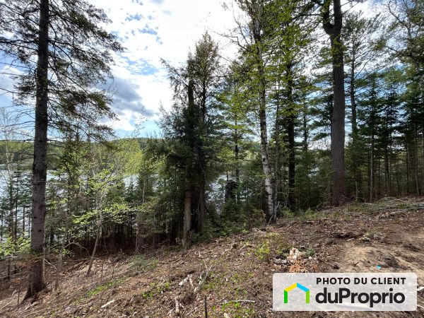 75, chemin du Lac Newcombe, Val-Des-Monts (St-Pierre-de-Wakefield) à vendre
