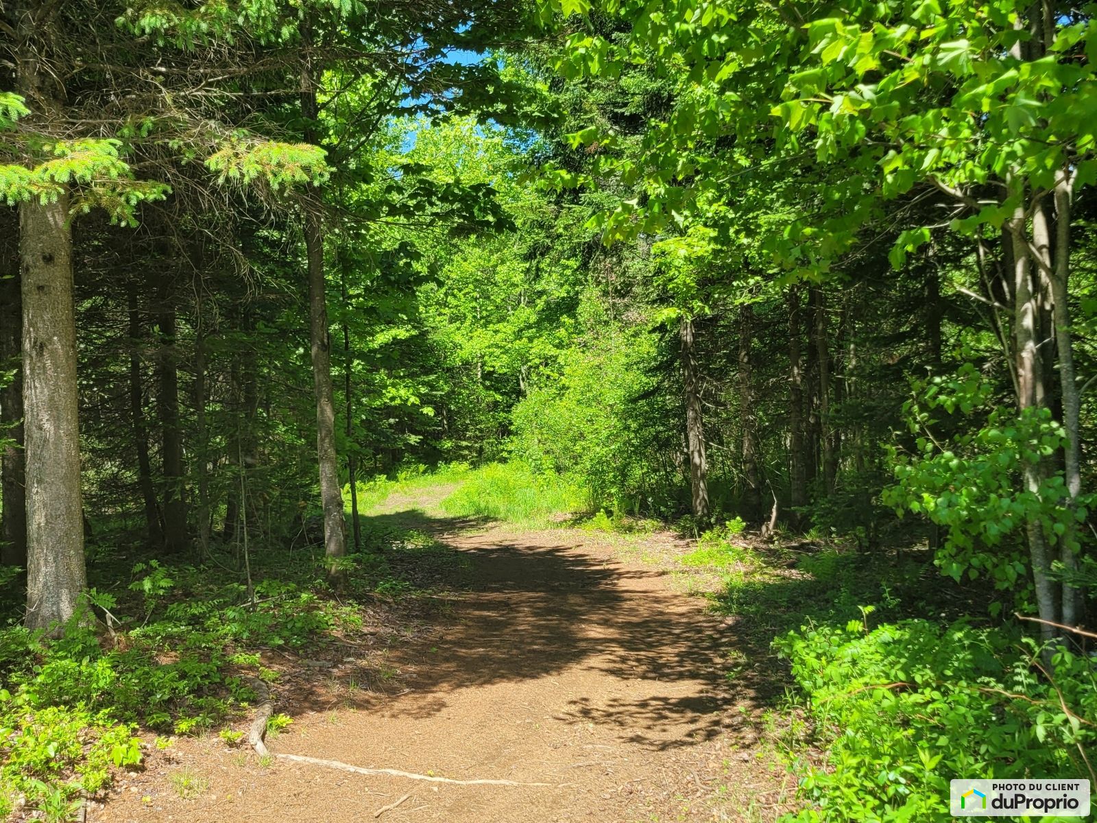 Chemin Juneau — photo 2