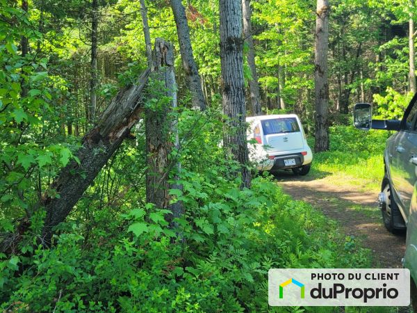 , chemin Juneau, Shawinigan (St-Gerard-Des-Laurentides) à vendre