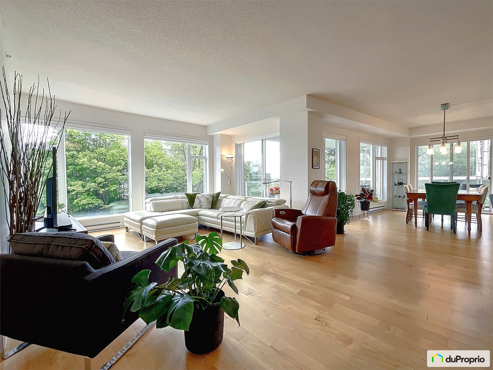 204 4915 Rue Lionel Groulx — photo 1