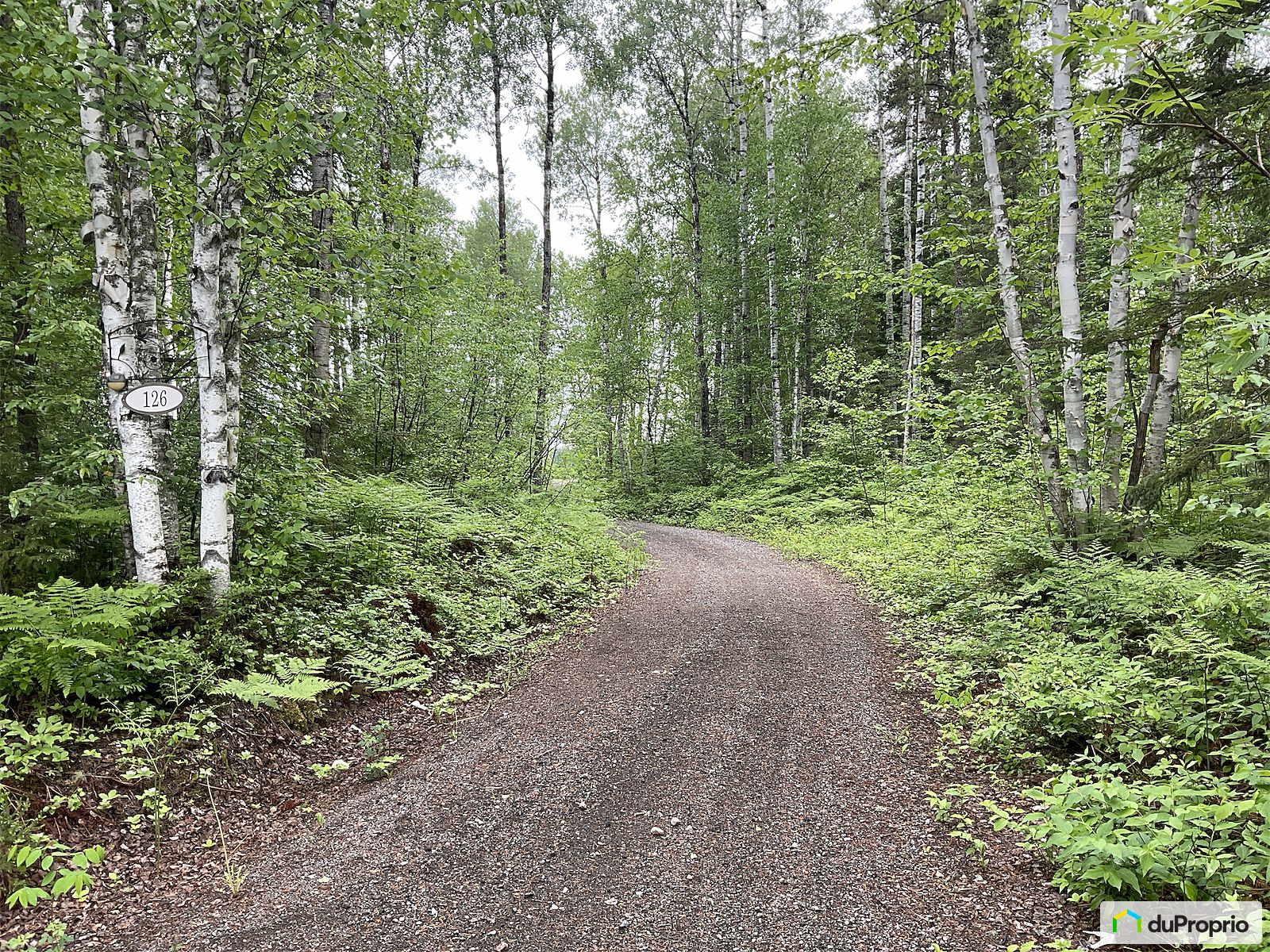 126 Chemin De Lile A Nathalie — photo 3