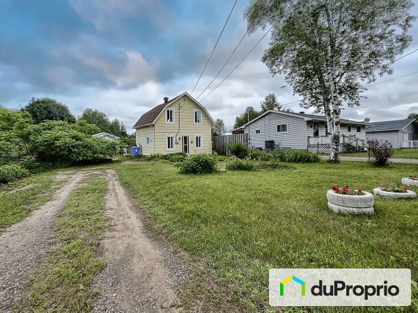 196, rue Lauzon, Mansfield-Et-Pontefract à vendre