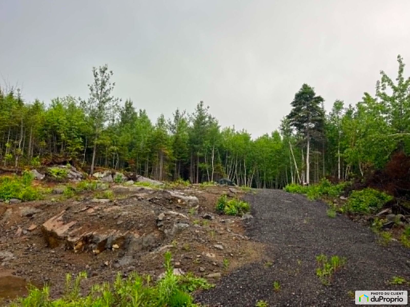 7 Chemin Des Orignaux — photo 2