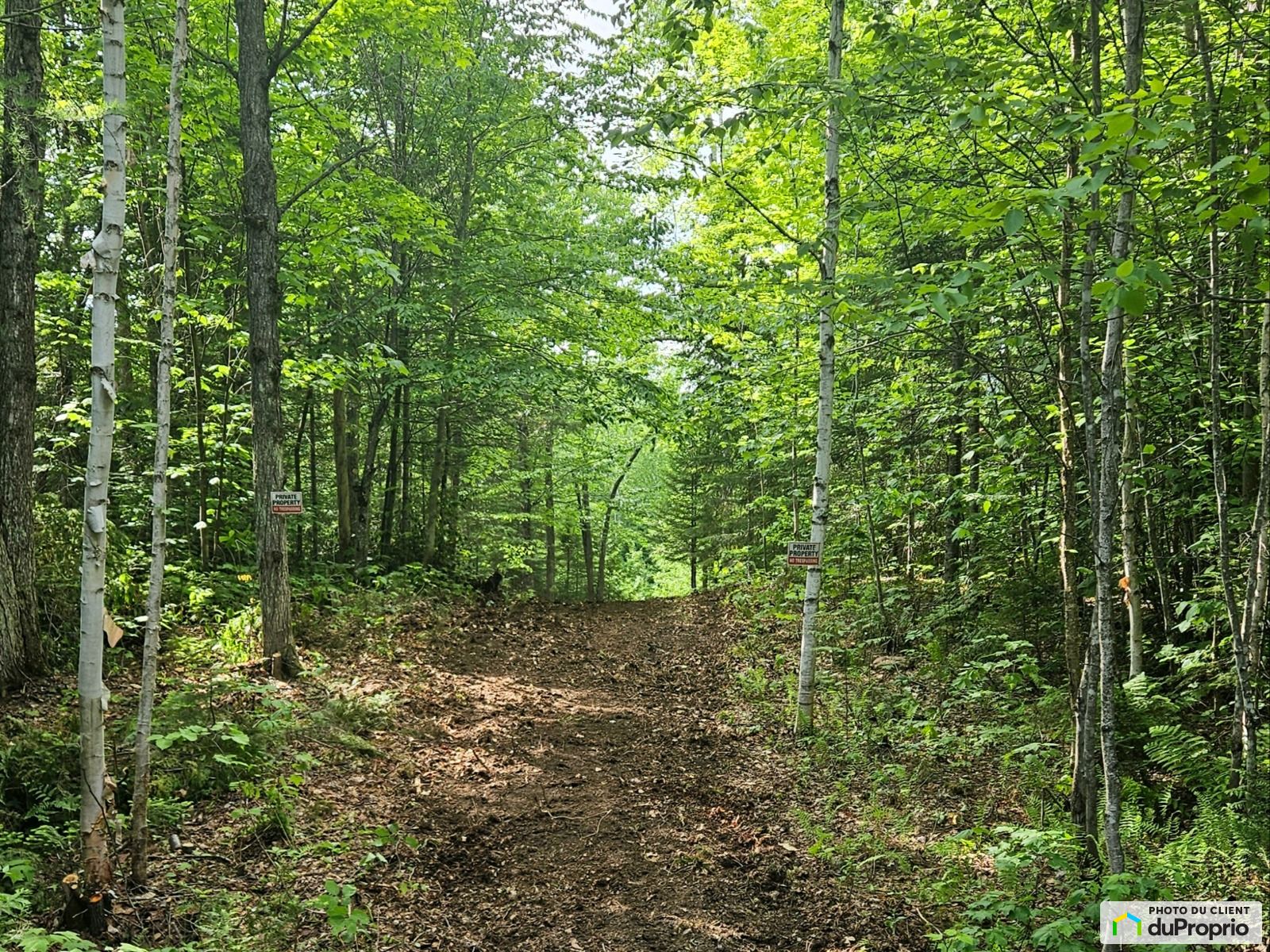 Avenue Adam — photo 1