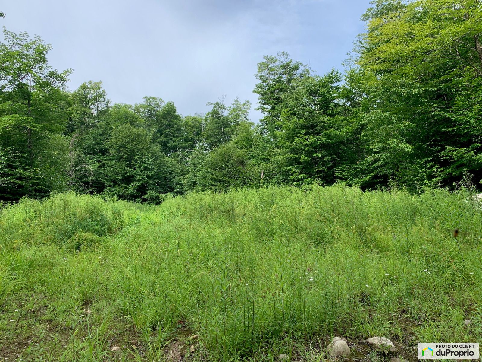 Chemin Chapleau — photo 3