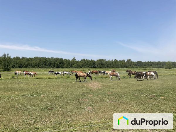 Environment - 2052 boulevard Saint-Joseph Ouest, St-Majorique-De-Grantham for sale