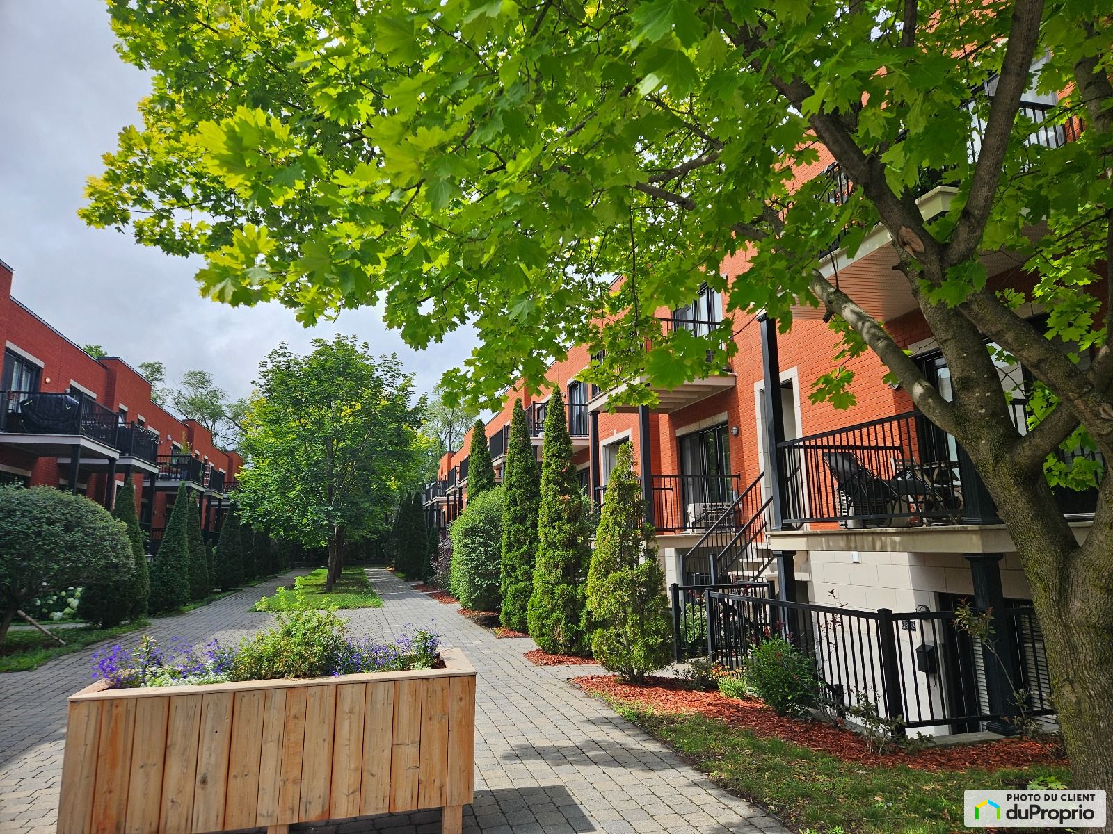 2902 Rue Bossuet — photo 1