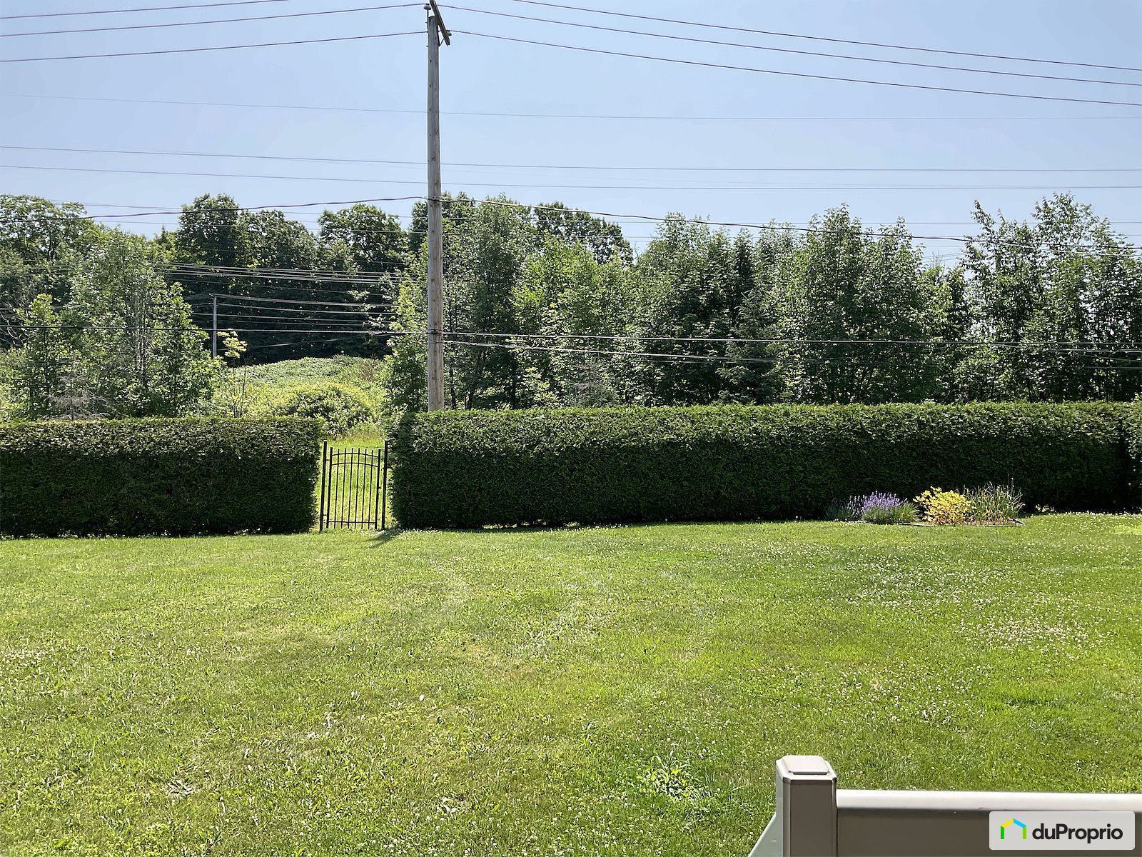 456 Rue Genereux — photo 2