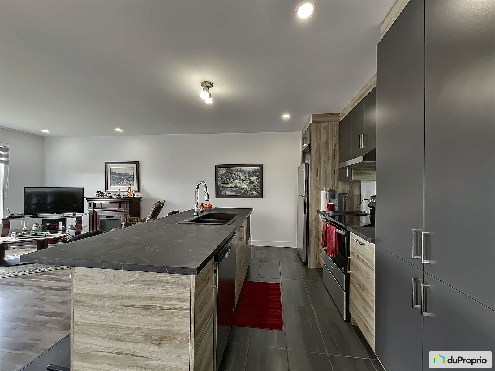 114 Rue Yves Malouin — photo 2