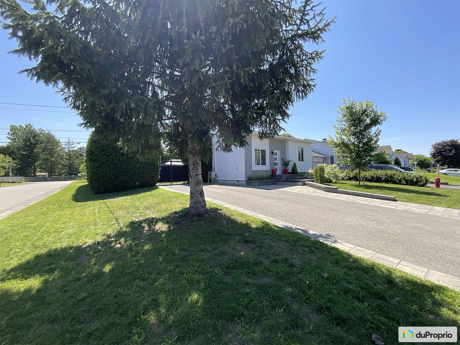 2541 Rue Du Cedrat — photo 3