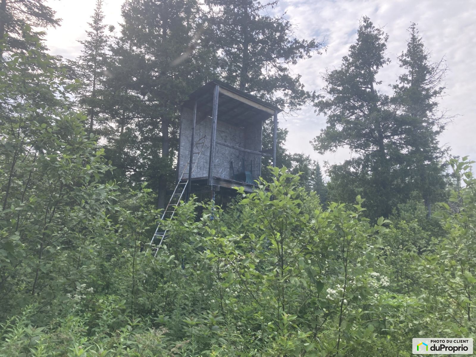 2E Et 3E Rang De Robinson — photo 3