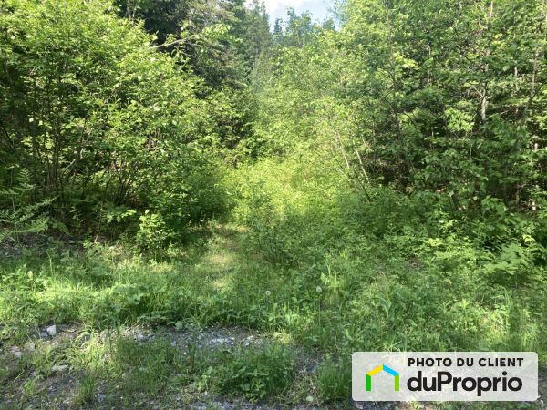  2e-et-3e rang de Robinson, St-Marc-Du-Lac-Long for sale