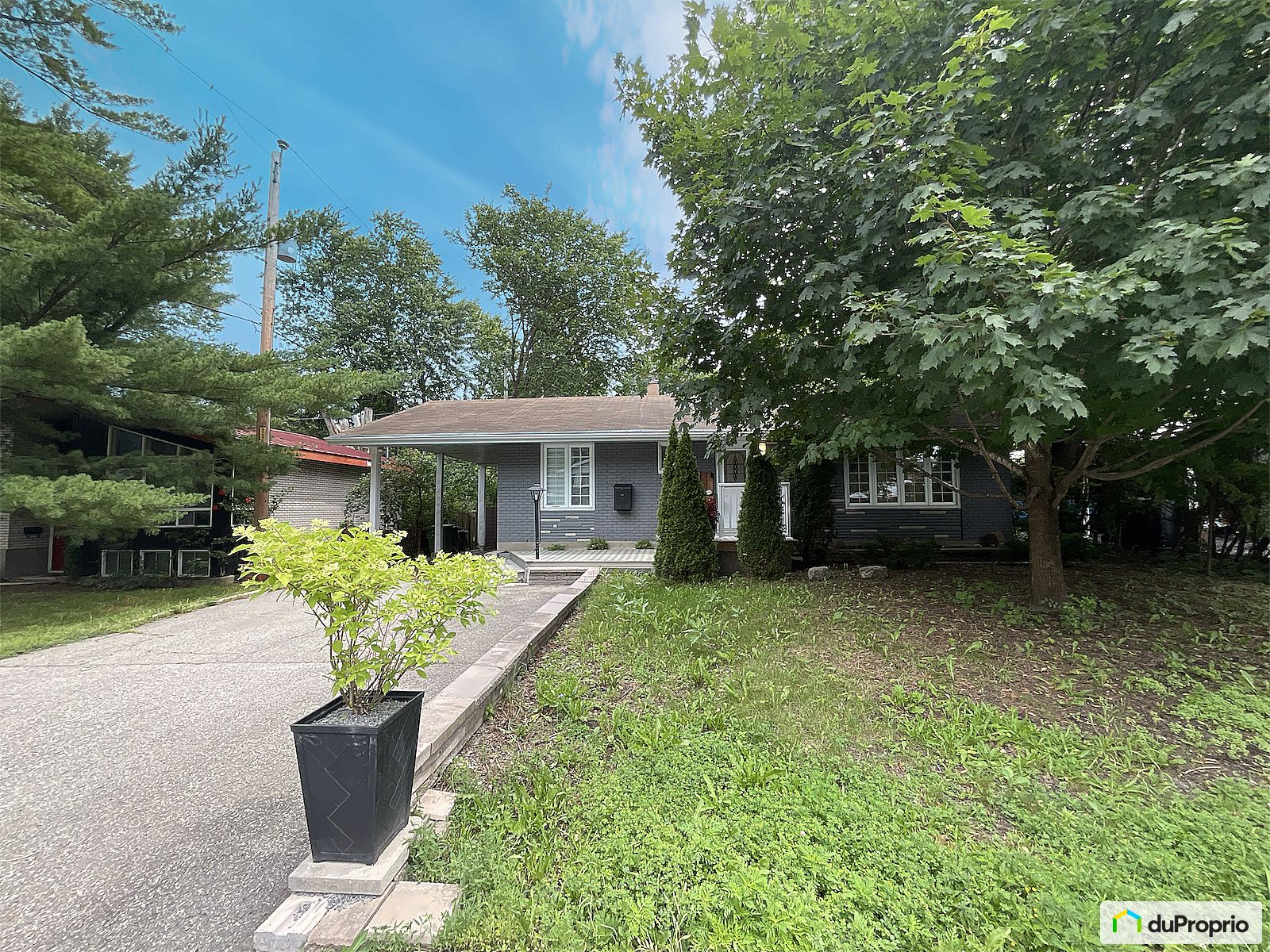 5017 Rue Langevin — photo 3