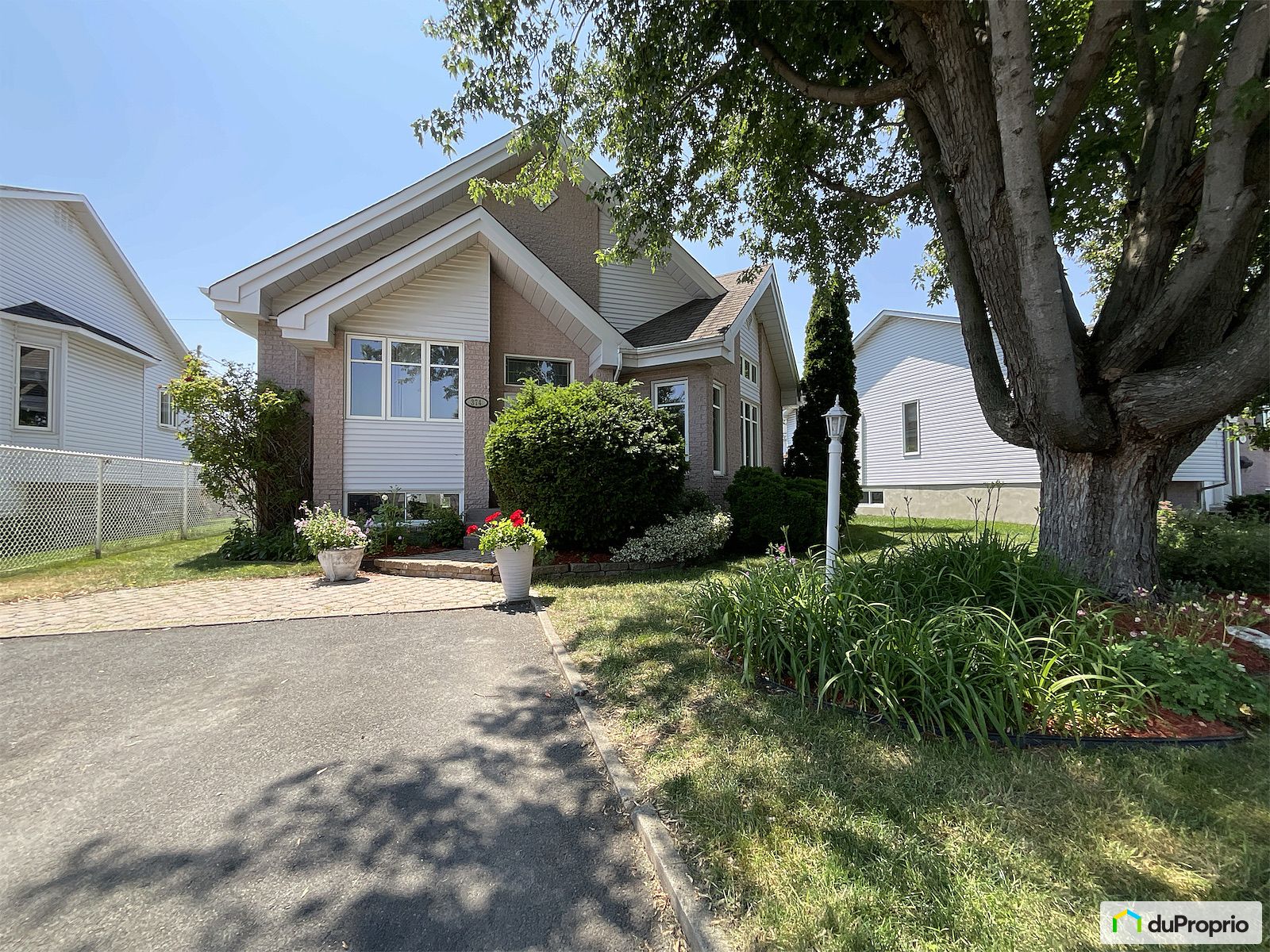 374 Rue Fernand Seguin — photo 3
