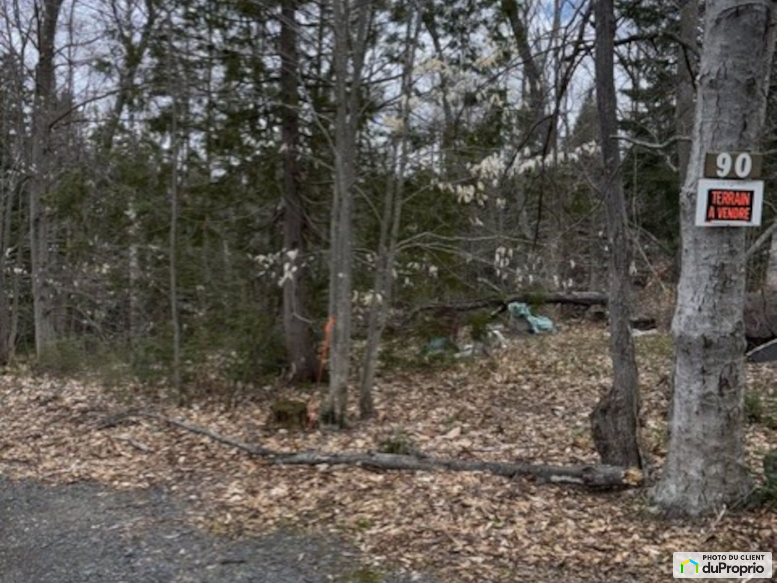 Montee Charlebois — photo 2