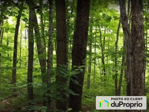 3 rue Picotte, Bolton-Est for sale