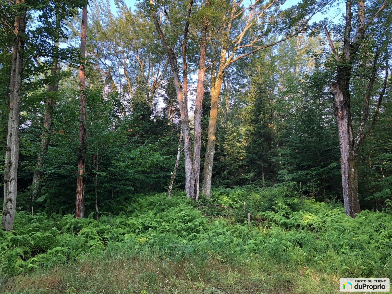 966 Chemin Des Diligences — photo 1