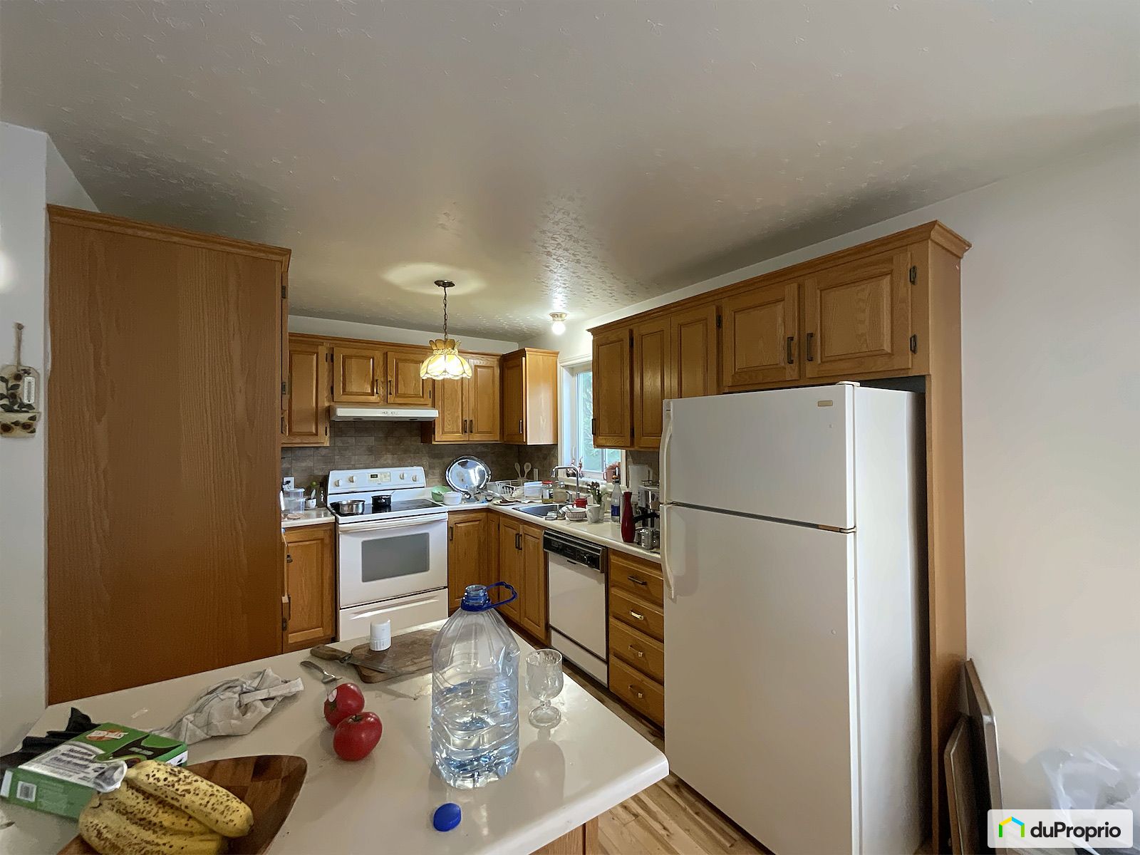 3510 Rue Du President Kennedy — photo 3