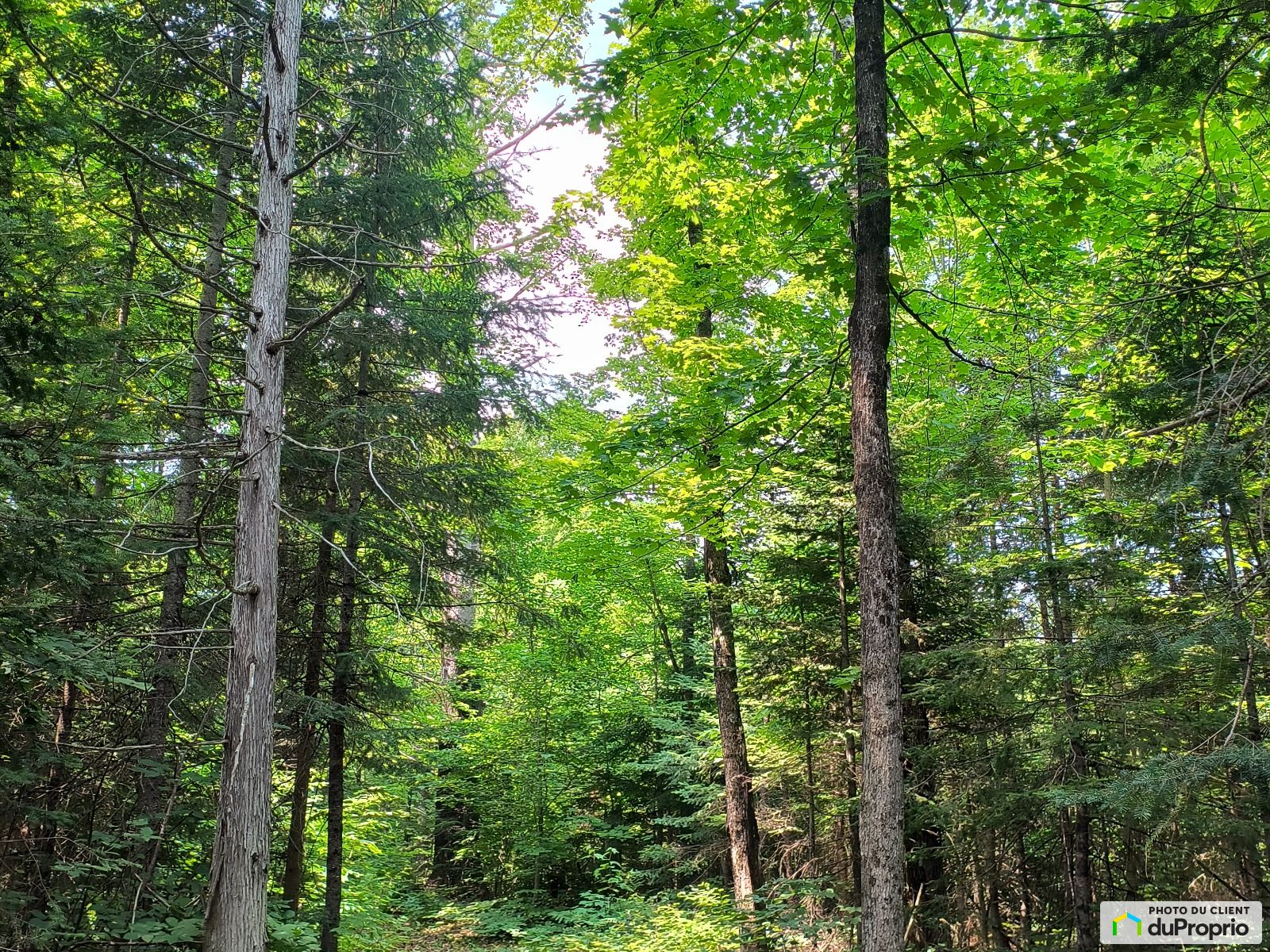 Chemin Du Lac St Germain — photo 3