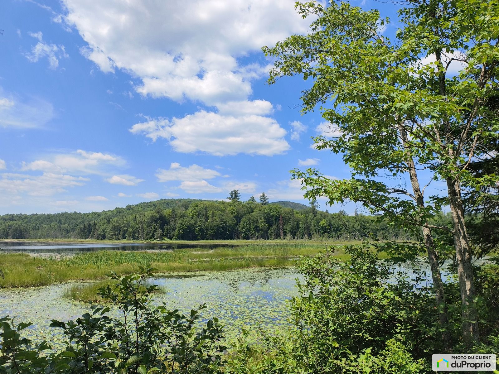 Chemin Du Lac St Germain — photo 1
