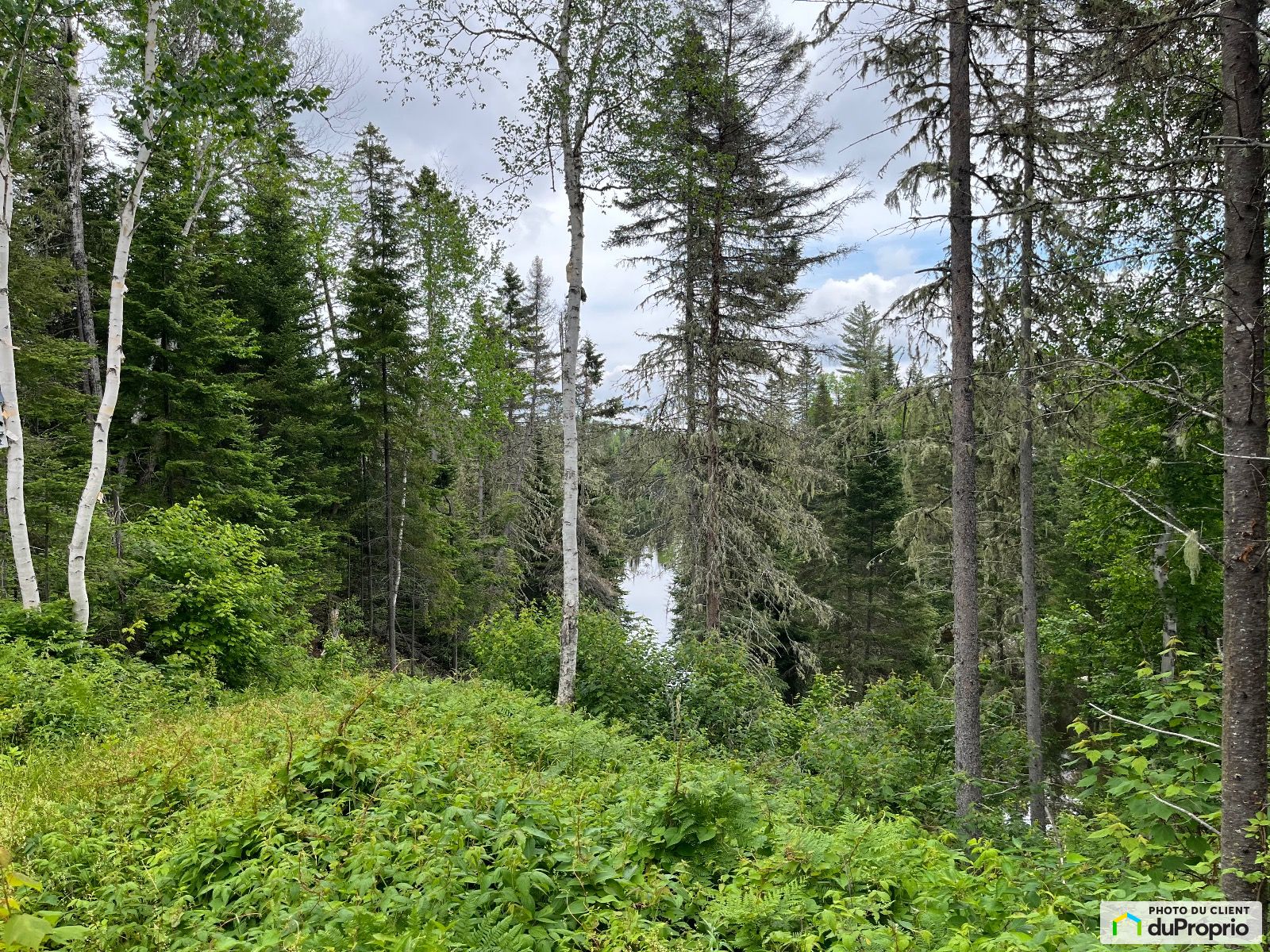 456 Chemin Du Reservoir — photo 1