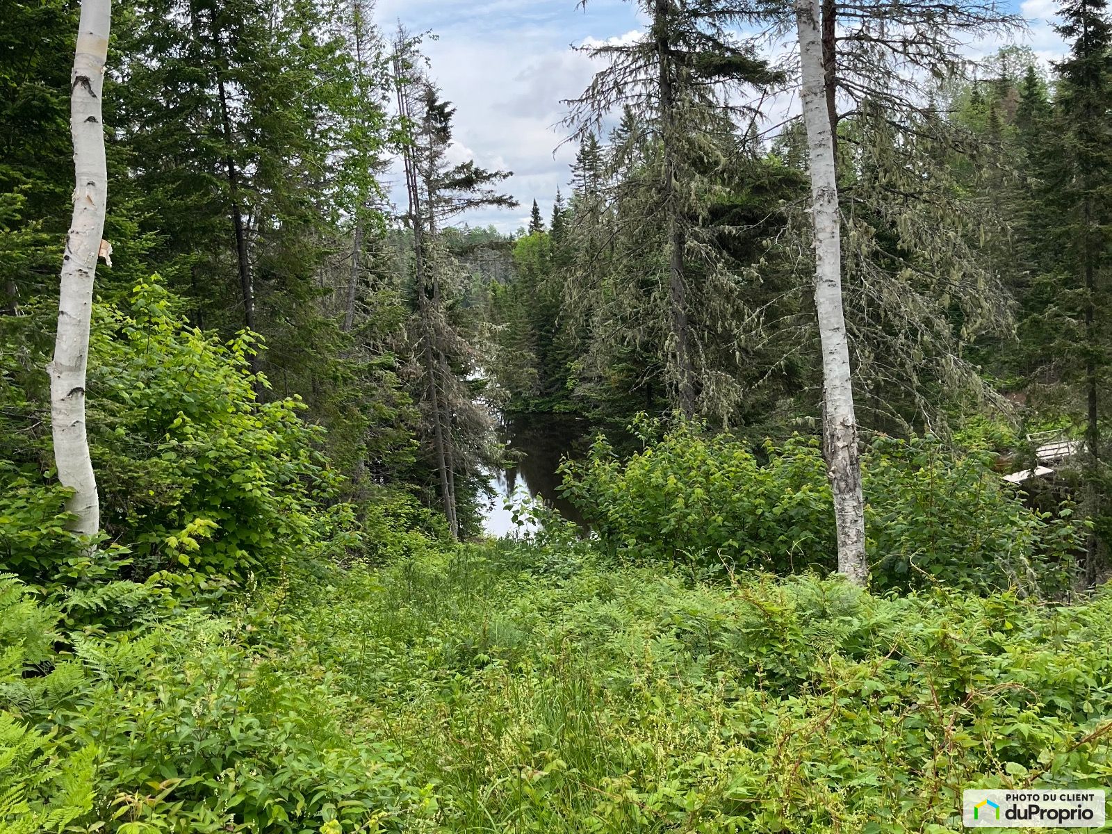 456 Chemin Du Reservoir — photo 2