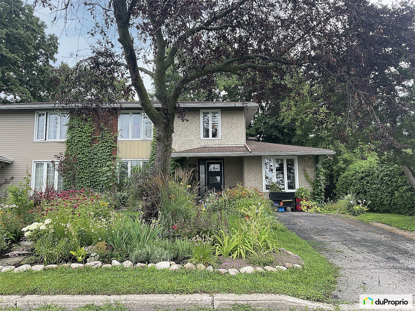 19 Rue Doug Kelley — photo 3