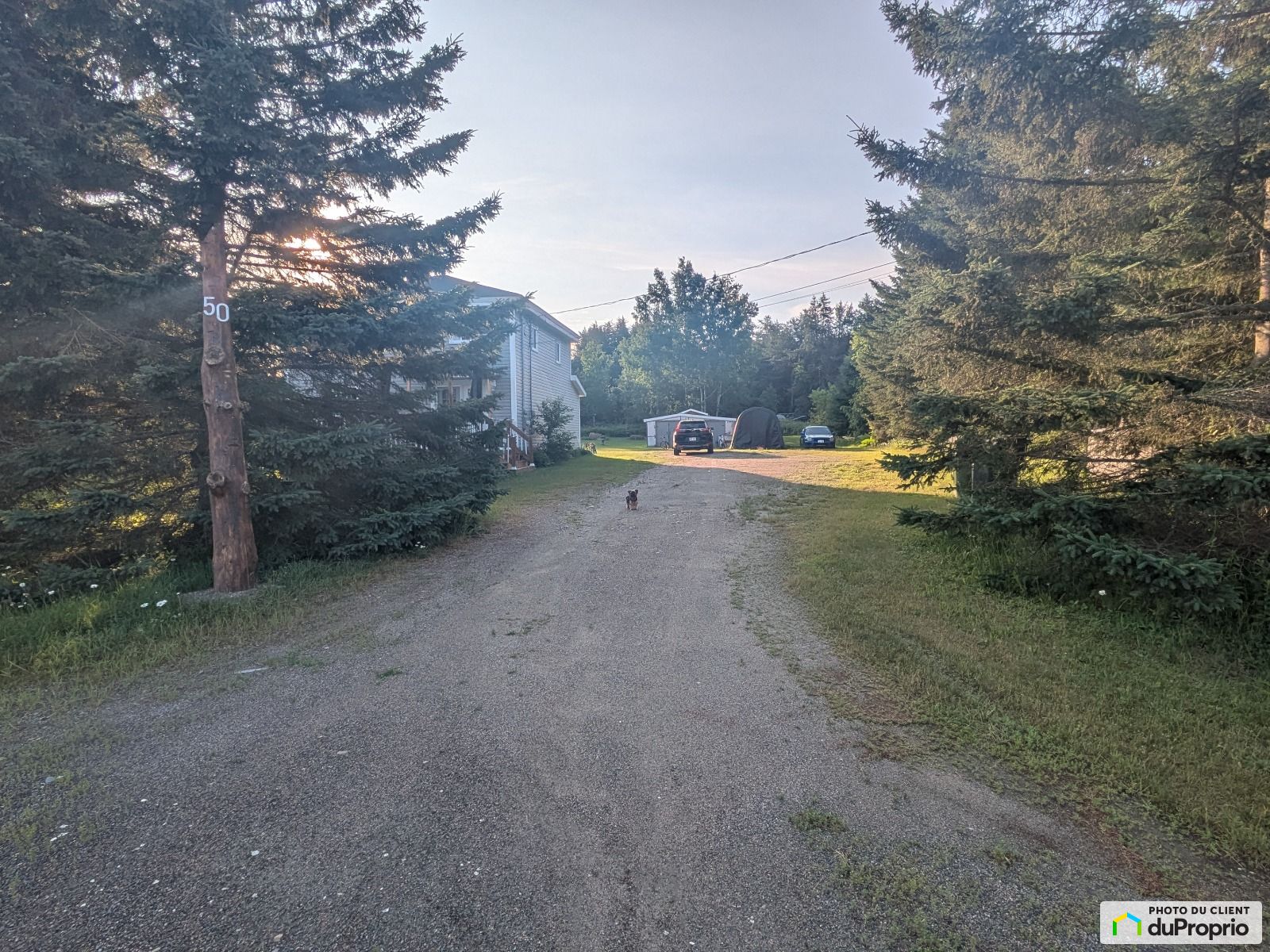 50 Rue Principale — photo 2