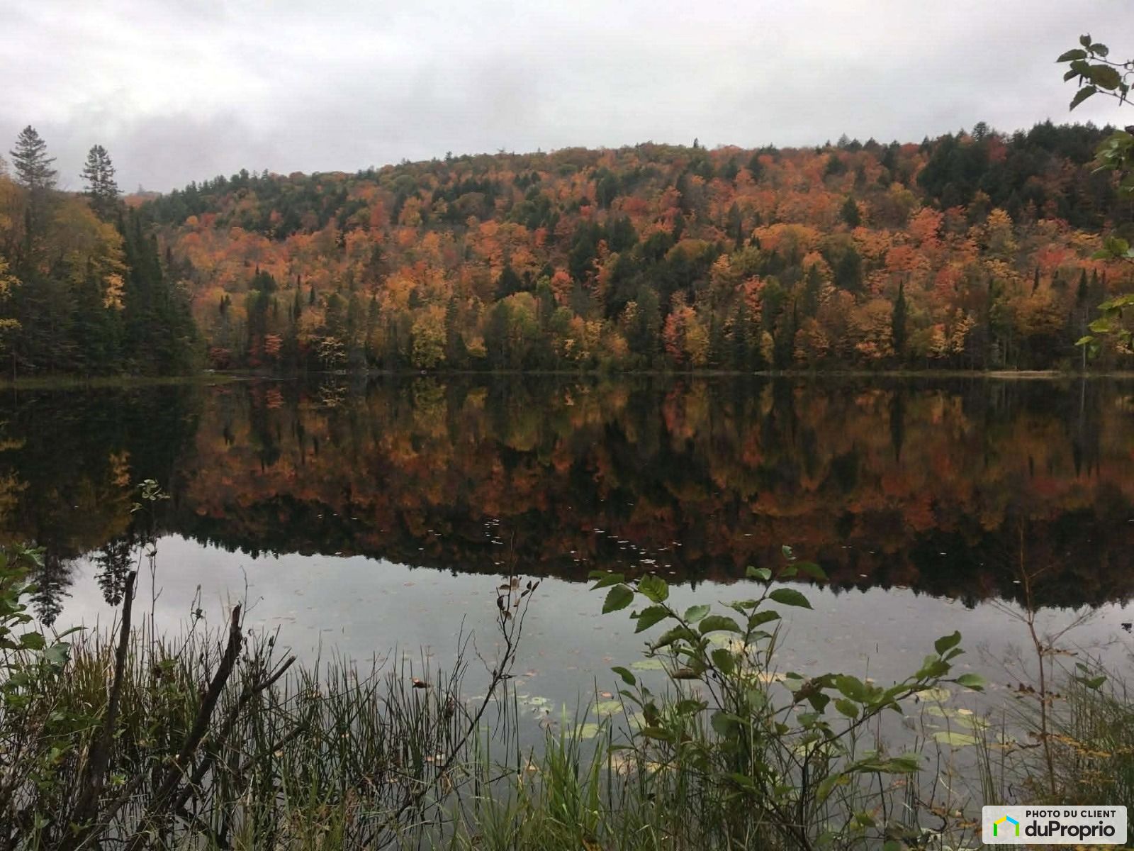 Chemin Du Lac Francis — photo 1