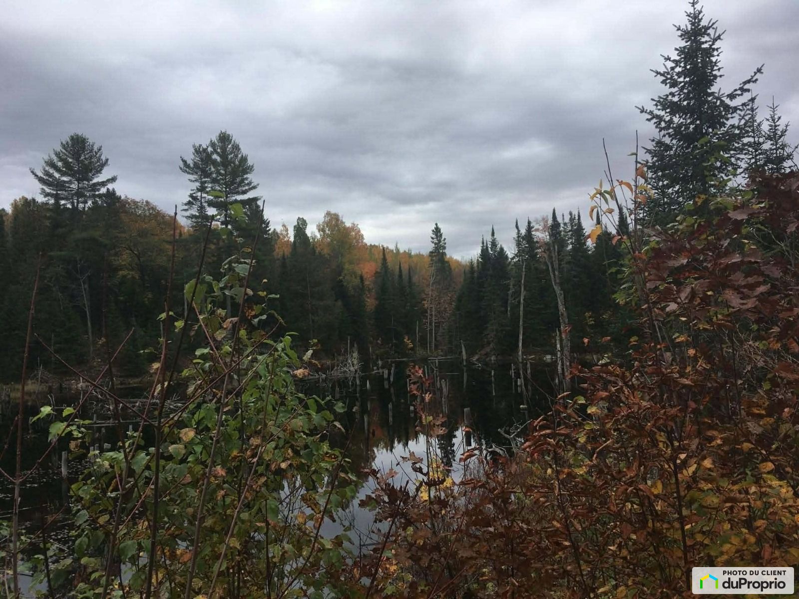 Chemin Du Lac Francis — photo 3
