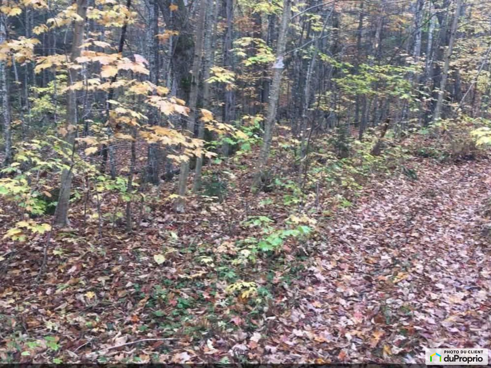 Chemin Du Lac Francis — photo 2