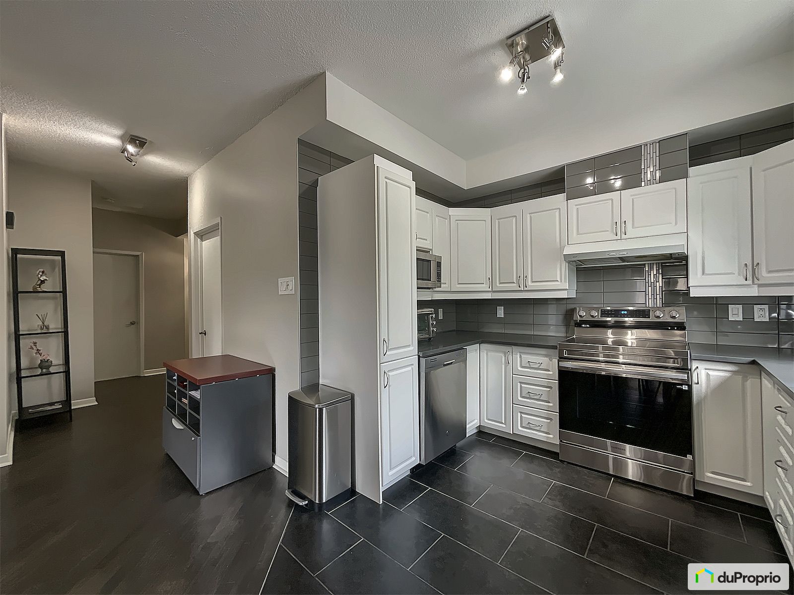203 7405 Rue Beaubien Est — photo 2
