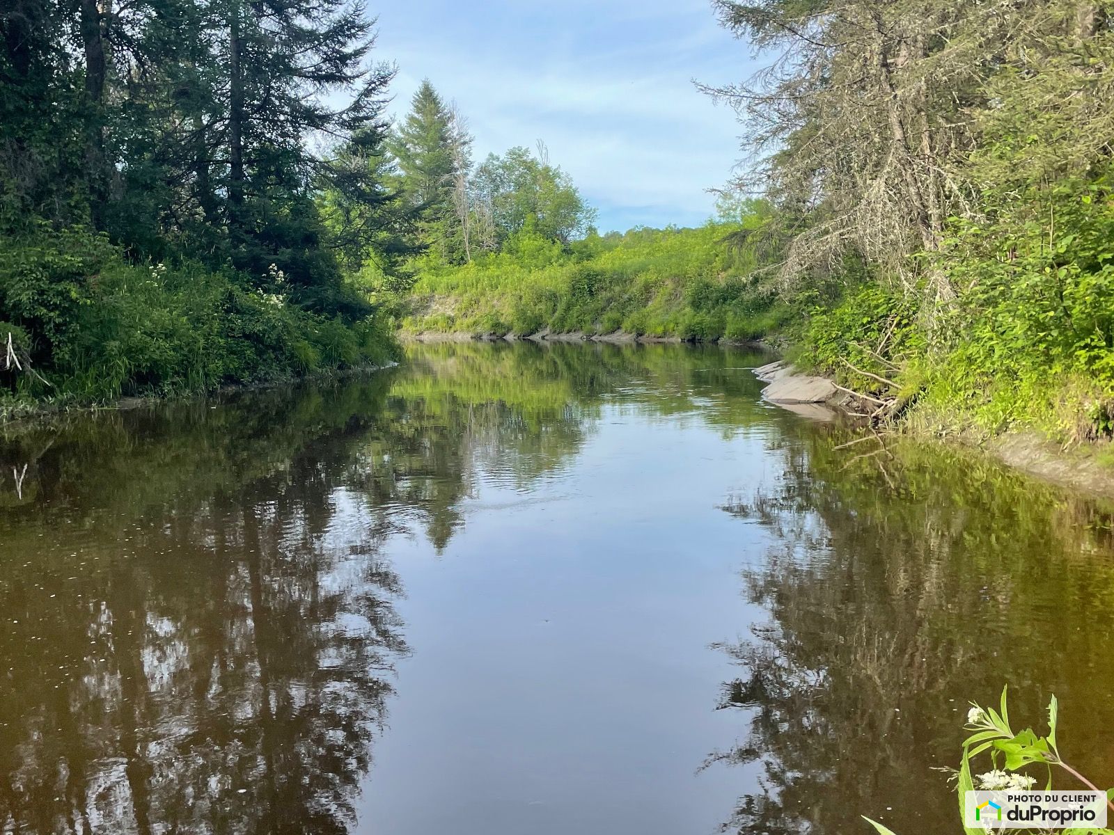 57 Chemin Ragged Chute — photo 3