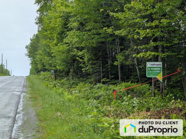 , route Centrale, St-Bruno-De-Kamouraska à vendre
