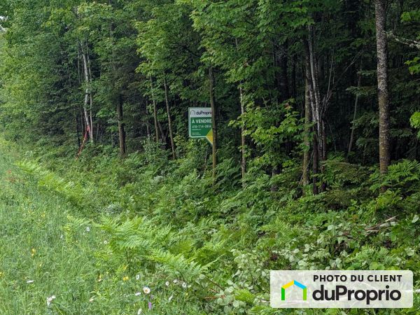 , route Centrale, St-Bruno-De-Kamouraska à vendre