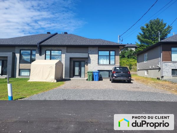 350-350-A rue Woodbine, Brownsburg-Chatham à vendre