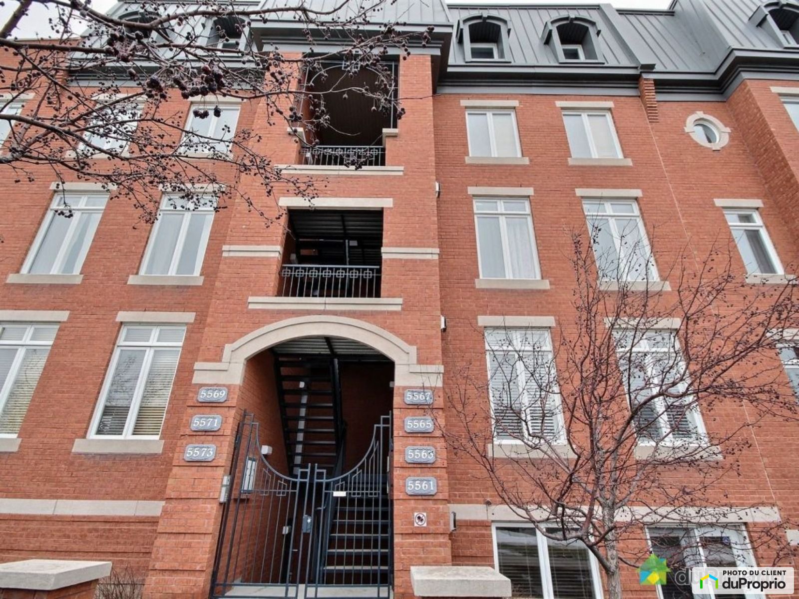 5565 Rue Saint Denis — photo 1