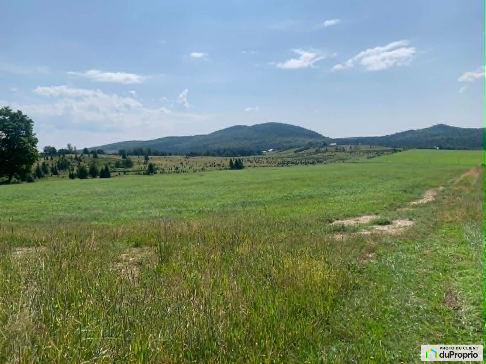 X Rang Turgeon — photo 2