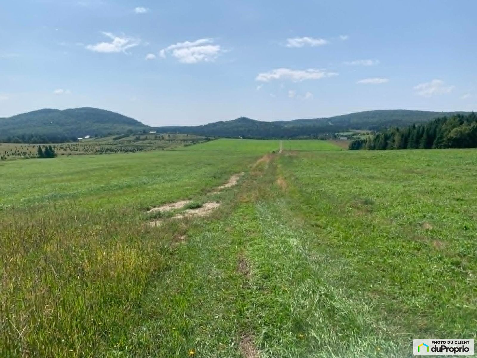X Rang Turgeon — photo 1
