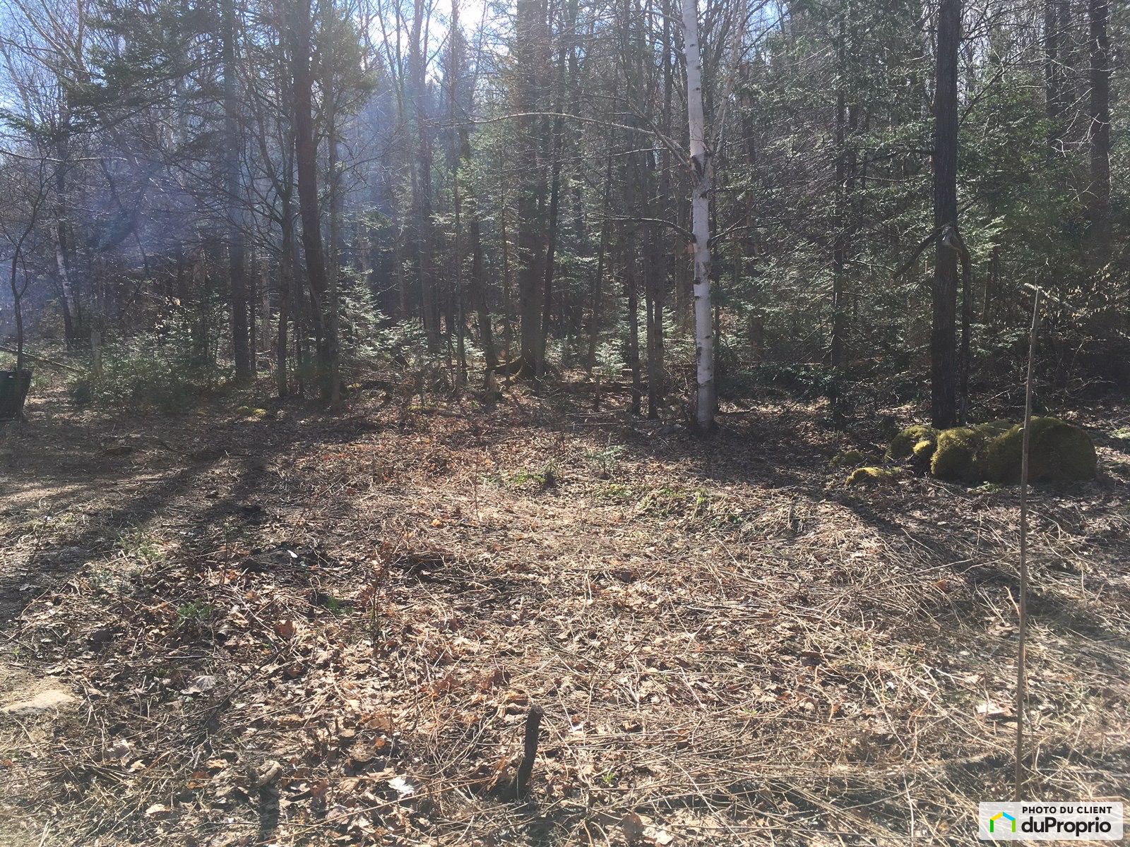 5E Rang — photo 2