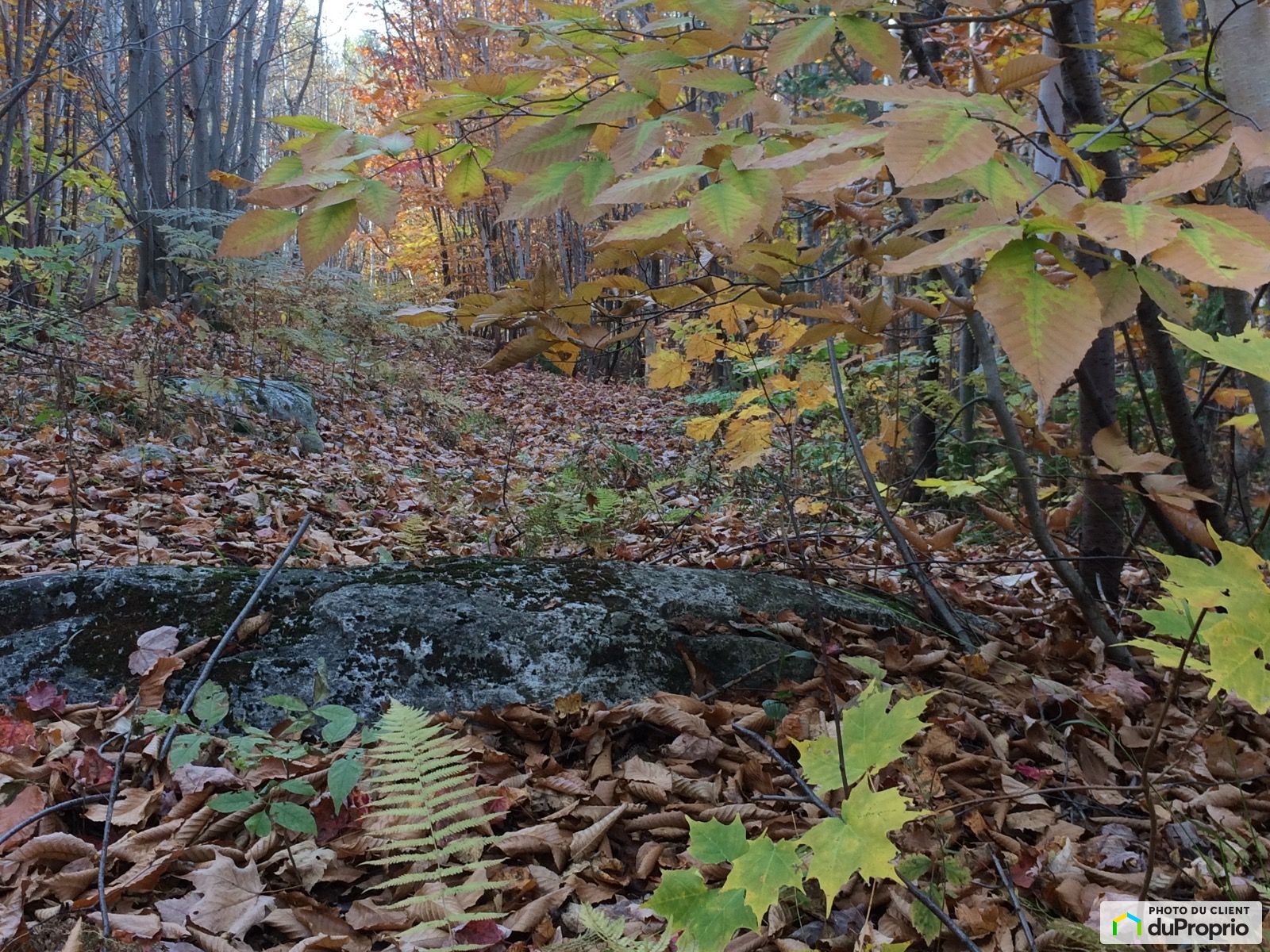 5E Rang — photo 3