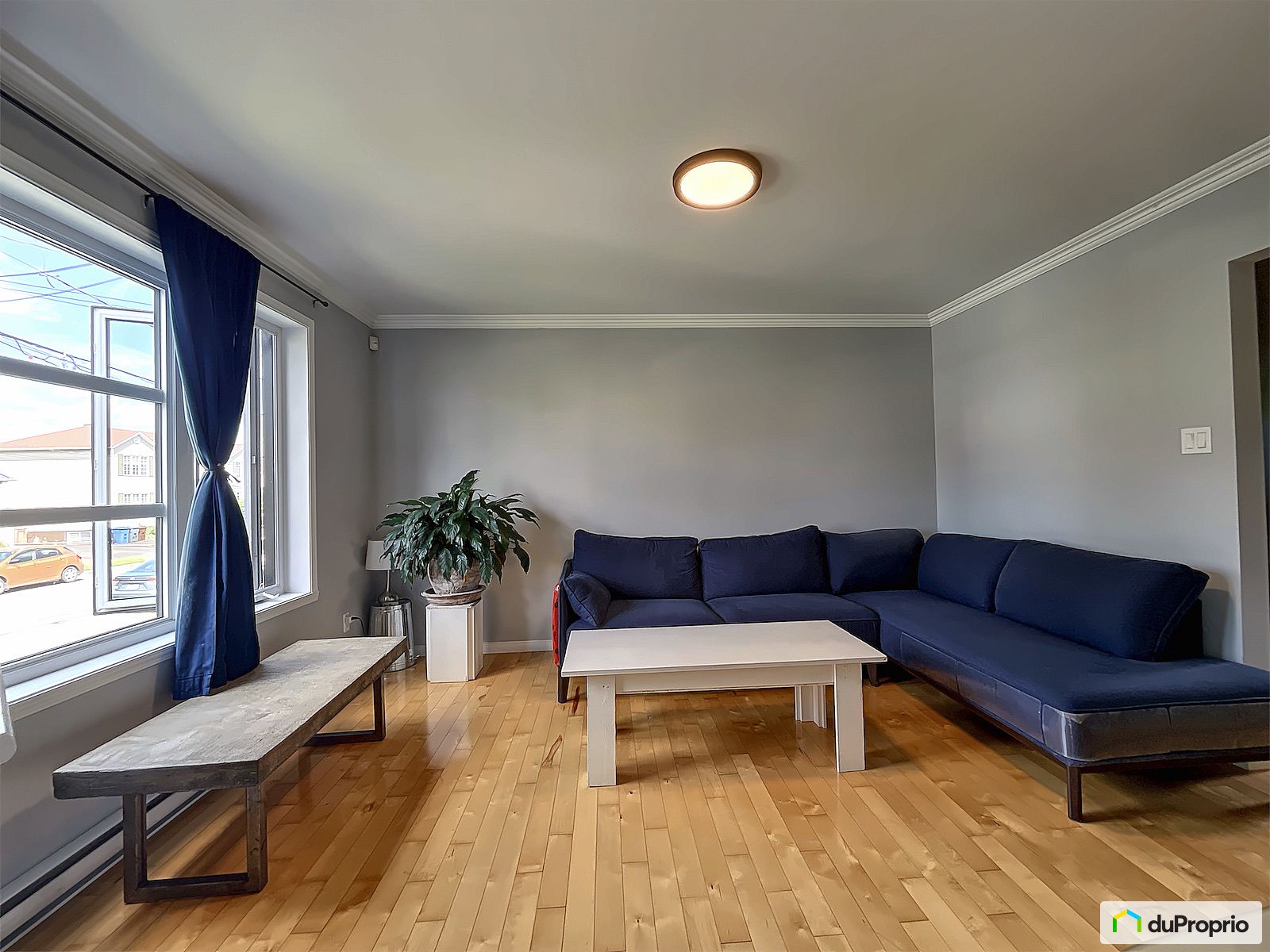 501 Rue De La Passiflore — photo 3