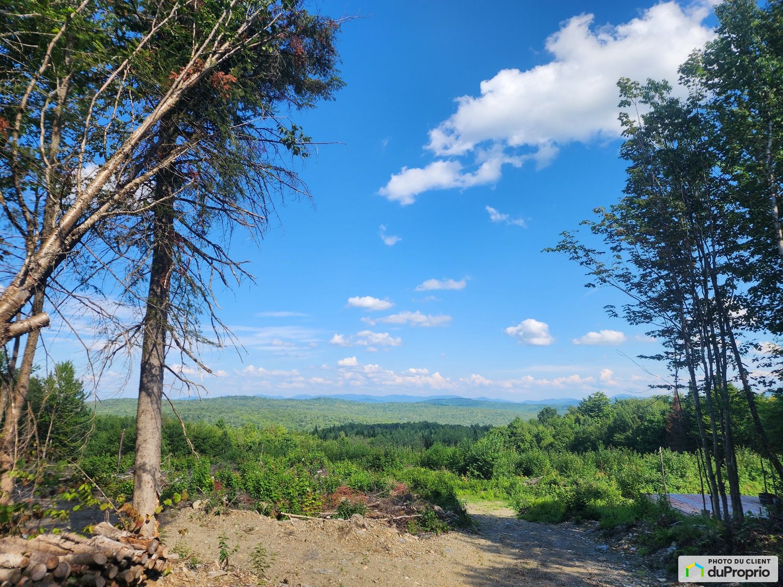 230 Chemin De La Foret Enchant — photo 1