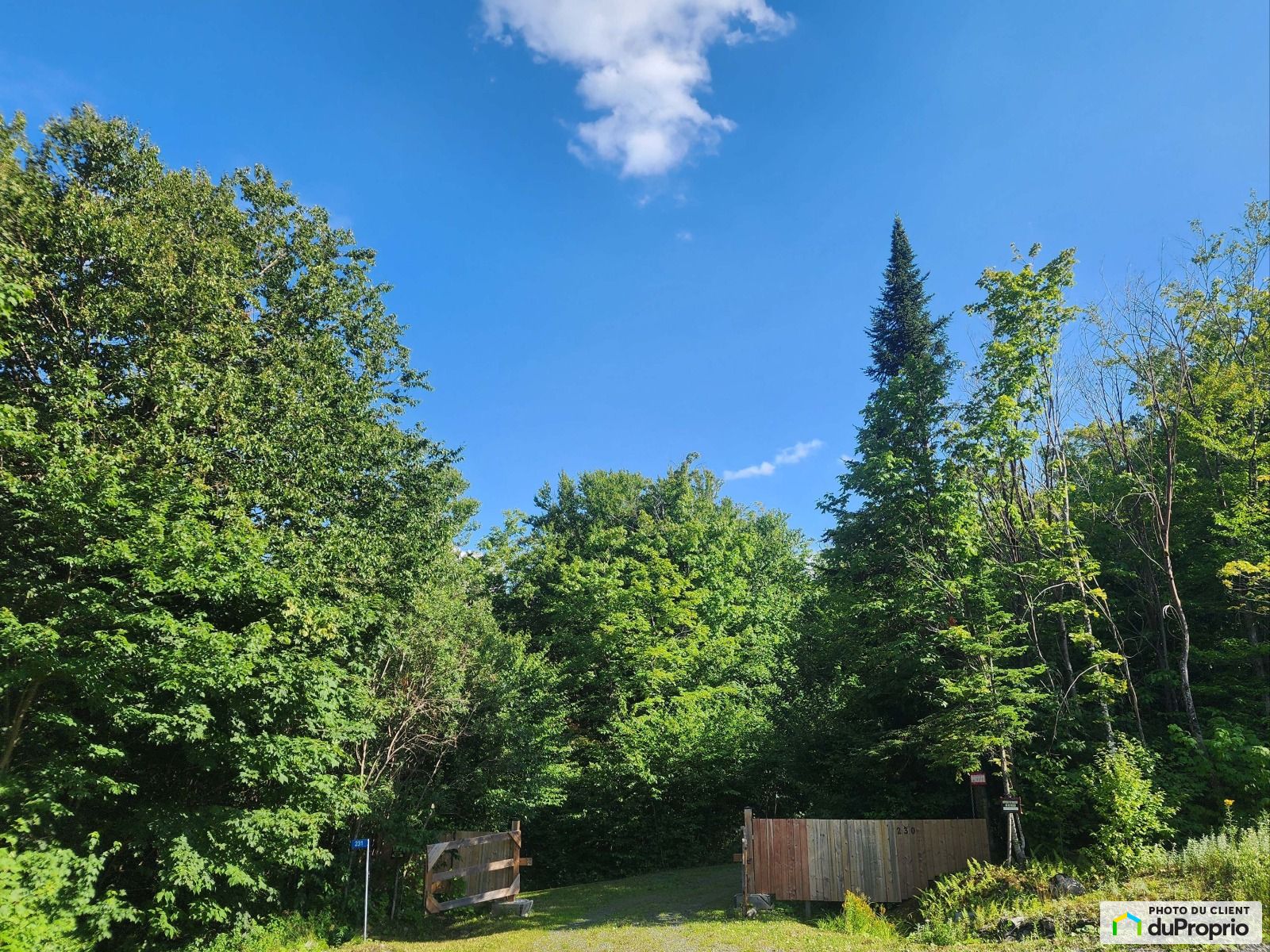 230 Chemin De La Foret Enchant — photo 3
