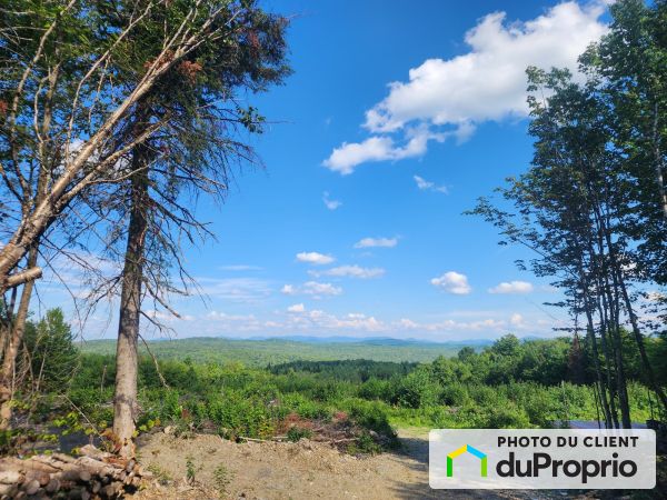 230 chemin de la Forêt-Enchantée, Notre-Dame-Des-Bois for sale