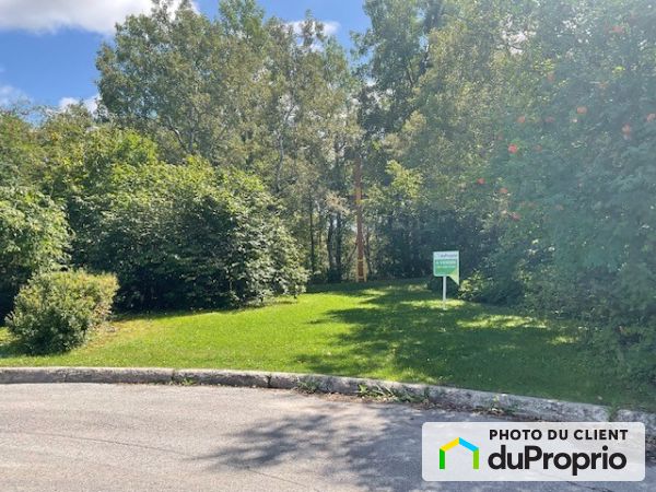 Lot 2 691 583 Rue Davaugour — photo 3