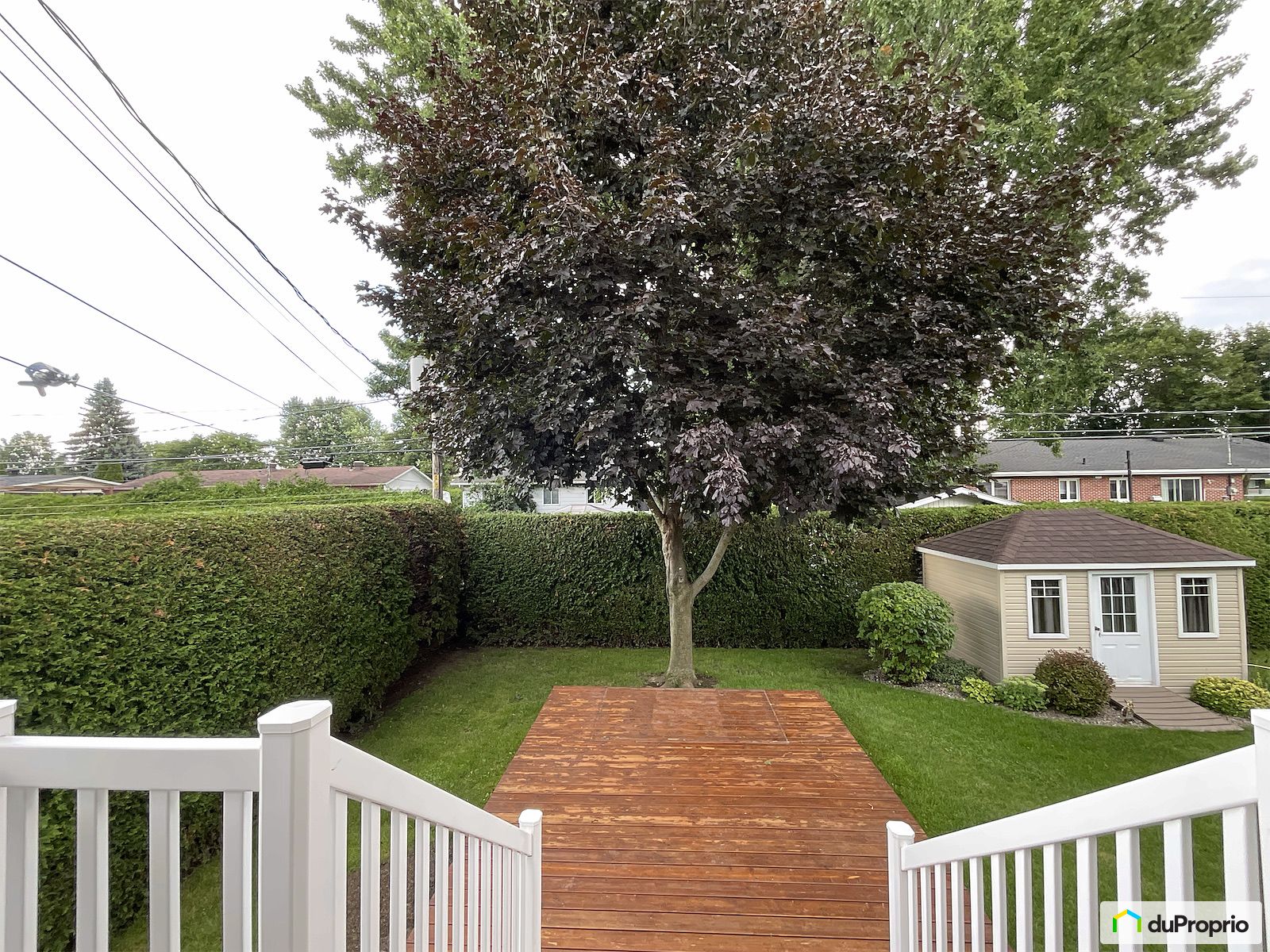 6340 Avenue Durocher — photo 2