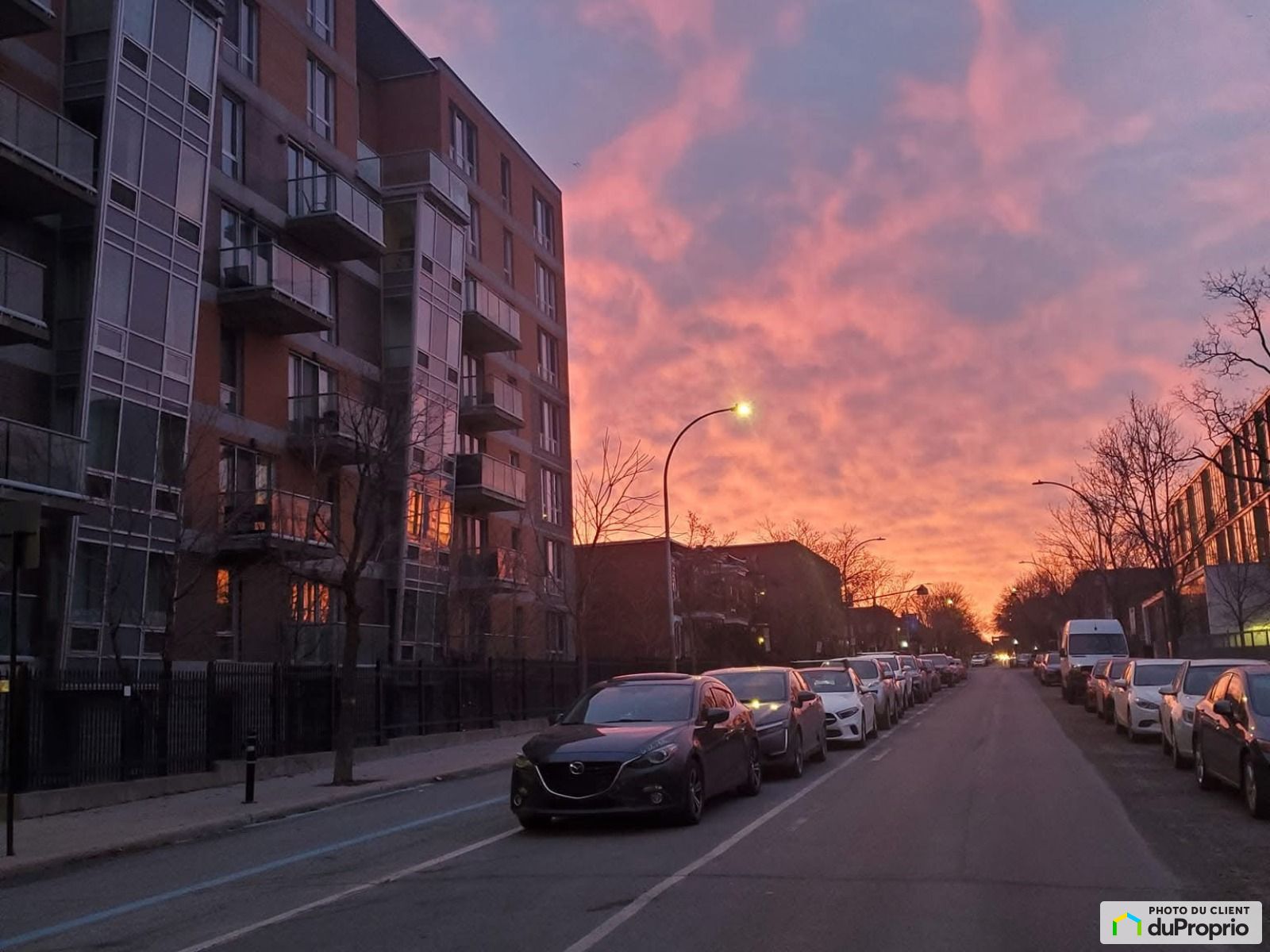801 8635 Rue Lajeunesse — photo 3